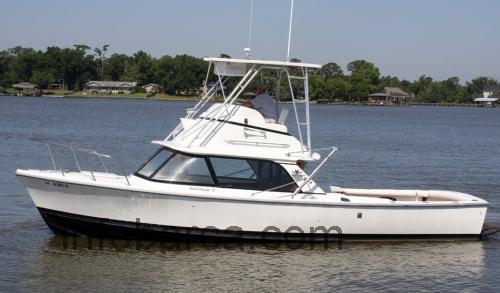 Bertram 31 Flybridge scheda tecnica 